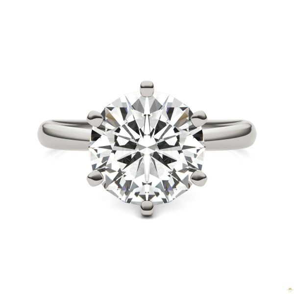 3.10 CTW   Round Moissanite Solitaire Ring in 14K White Gold - Image 4